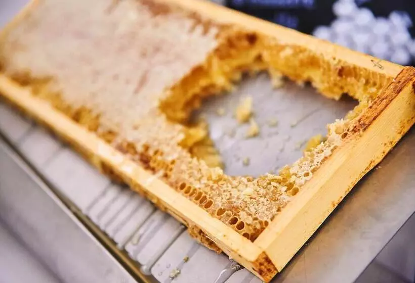 酒店 Maxx By Steigenberger Vienna