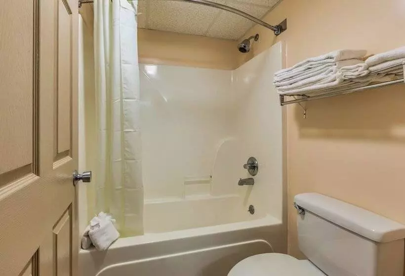 Hotelli Park Grove Inn