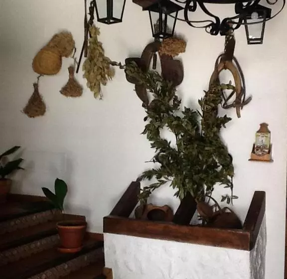 Отель Posada San Antonio