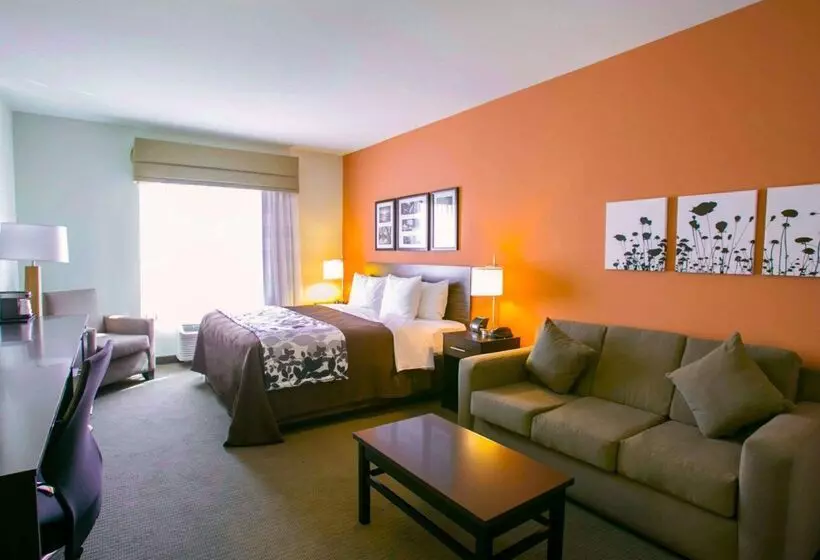 ホテル Sleep Inn & Suites Austin Northeast