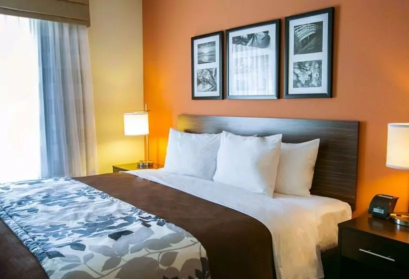 ホテル Sleep Inn & Suites Austin Northeast