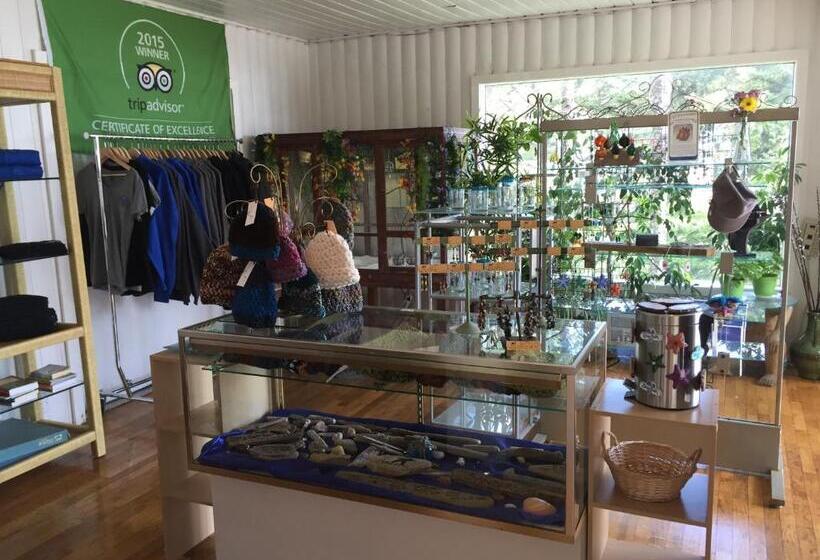 모텔 Starfish Point