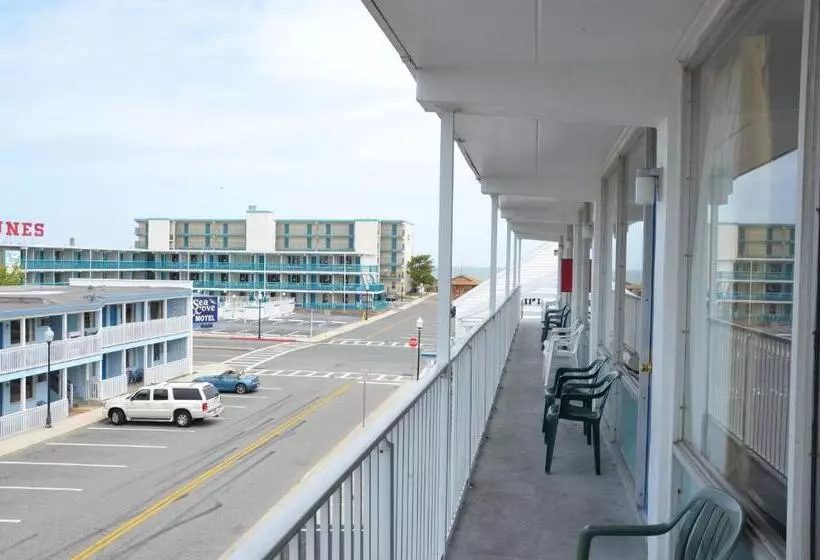 Sea Cove Motel Ocean City