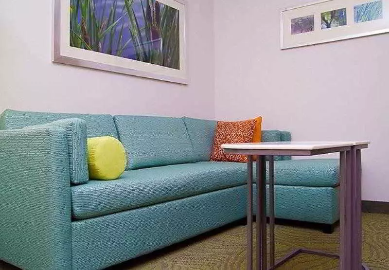 Springhill Suites By Marriott Dallas Richardson/plano