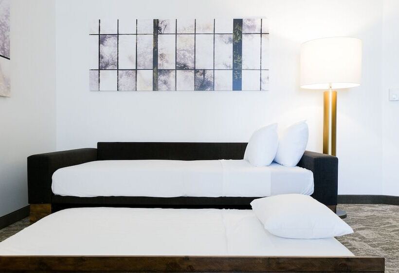 Springhill Suites By Marriott Dallas Richardson/plano