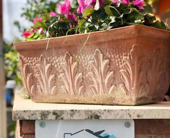 تختخواب و صبحانه Hangar Inn