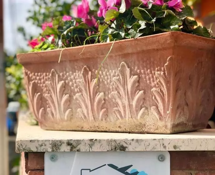 تختخواب و صبحانه Hangar Inn