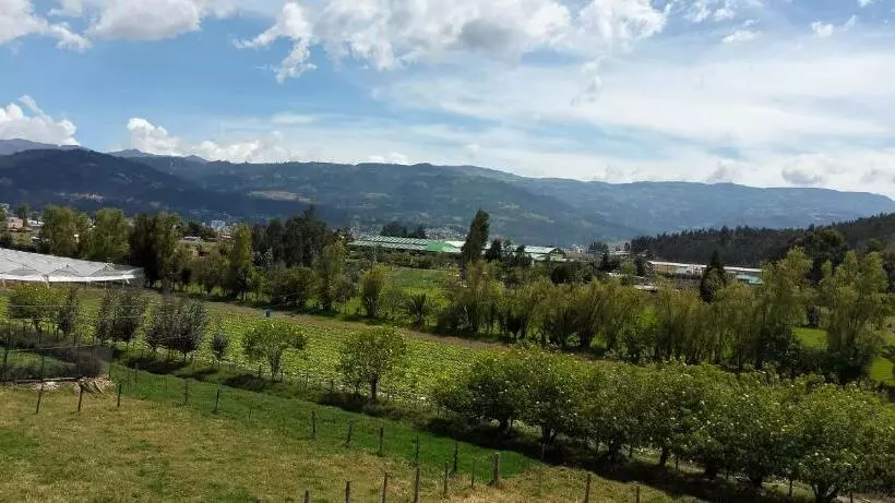 ホテル Alta Vista Campestre
