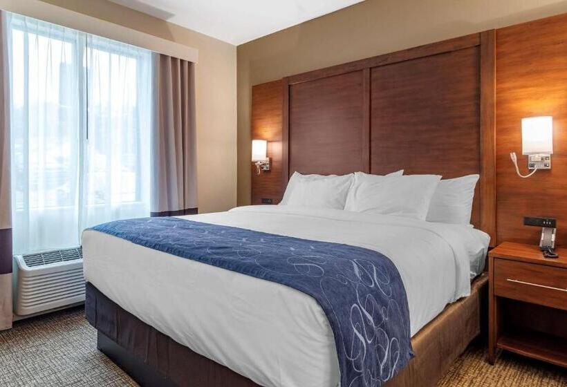 فندق Comfort Suites