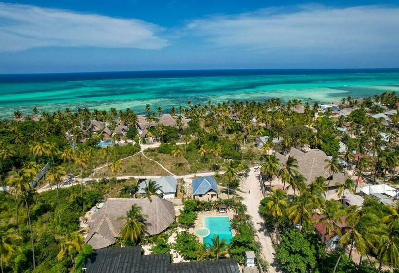 בית מלון כפרי Tropical Oasis Boutique