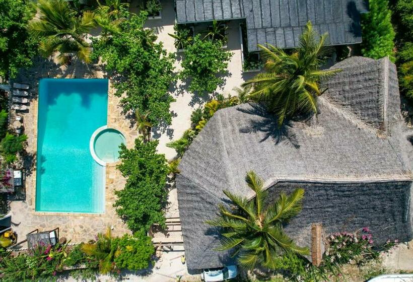 בית מלון כפרי Tropical Oasis Boutique