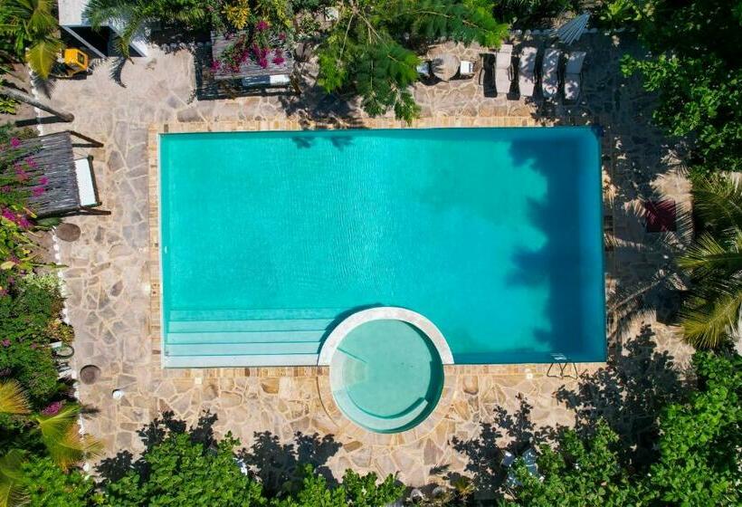 בית מלון כפרי Tropical Oasis Boutique