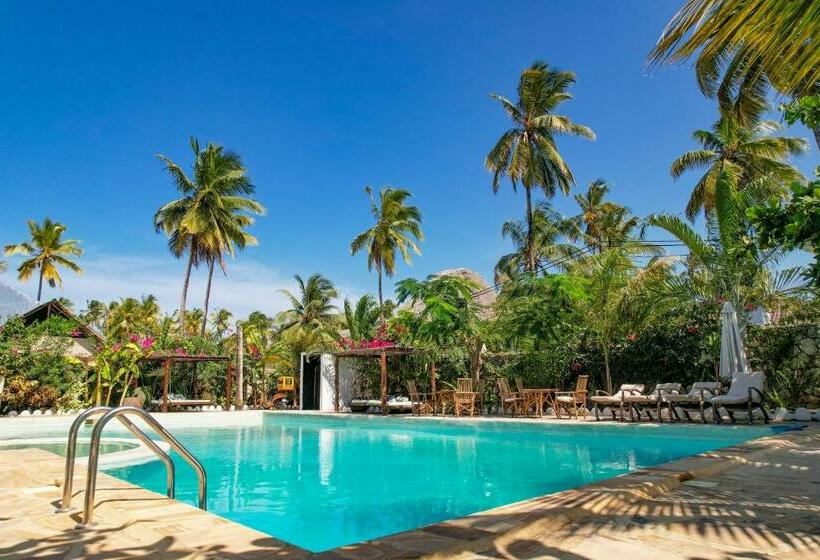 בית מלון כפרי Tropical Oasis Boutique