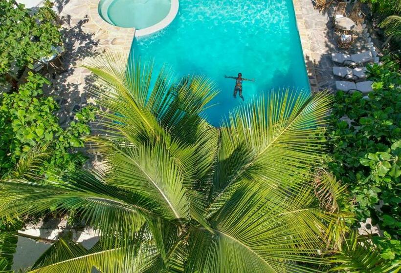 בית מלון כפרי Tropical Oasis Boutique