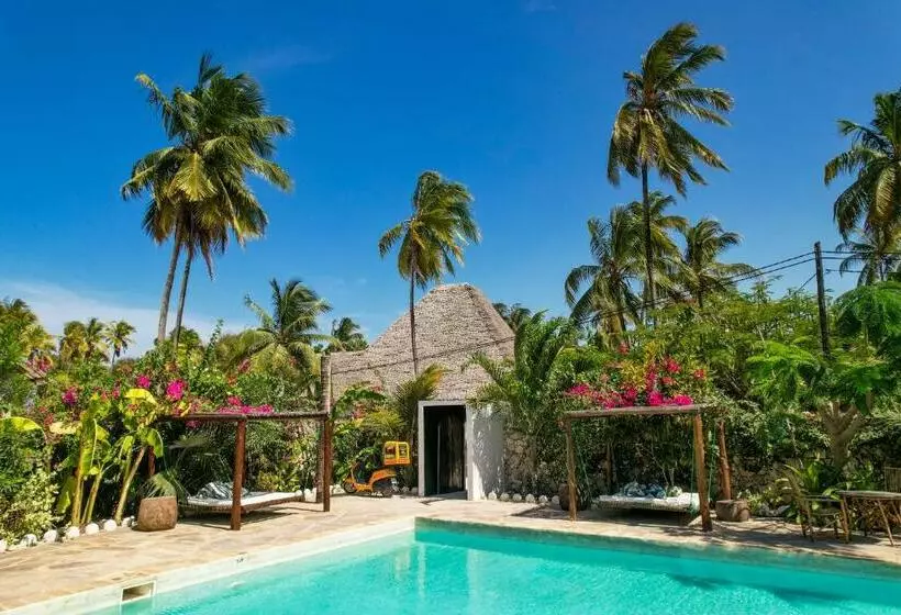 ホテル Tropical Oasis Boutique