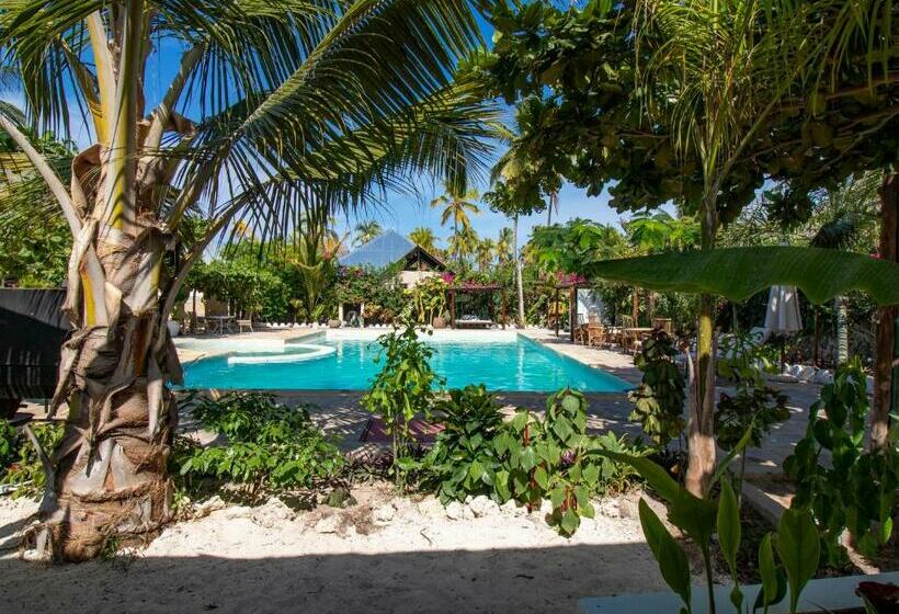 בית מלון כפרי Tropical Oasis Boutique