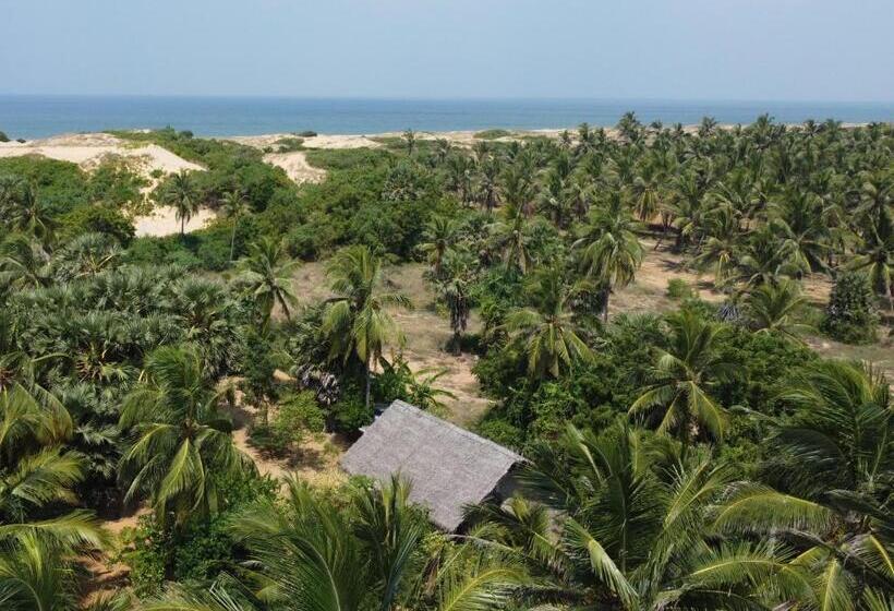 פנסיון Plastic Bottle House   Dune Towers
