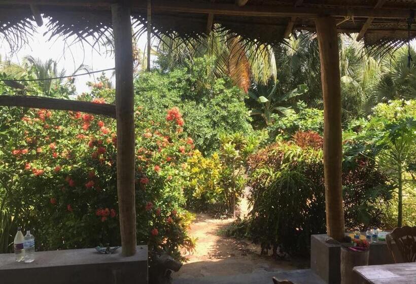 פנסיון Plastic Bottle House   Dune Towers