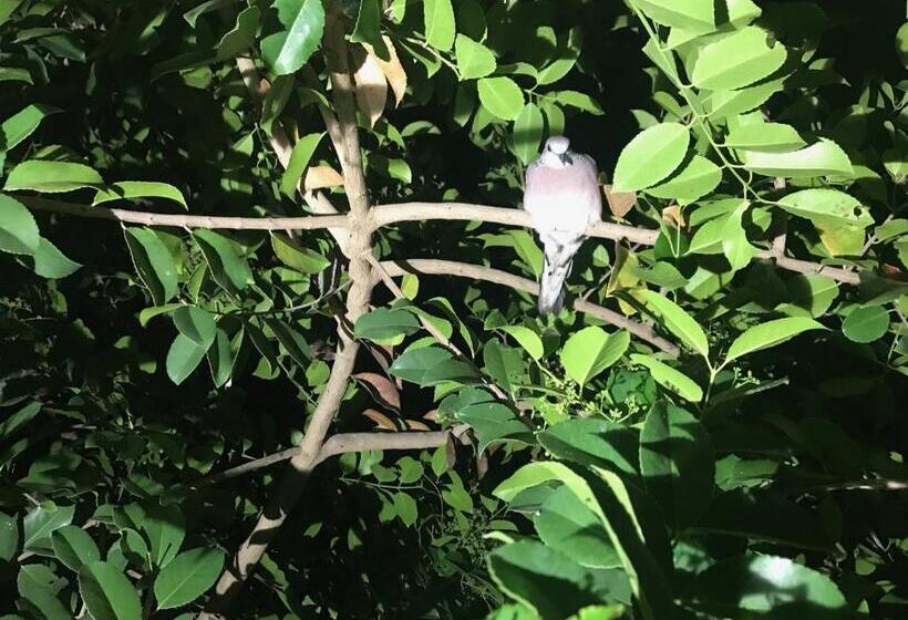 פנסיון Plastic Bottle House   Dune Towers