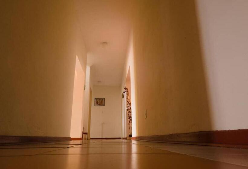 Пансион The Haven Guest House