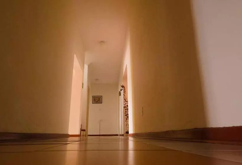 پانسیون The Haven Guest House