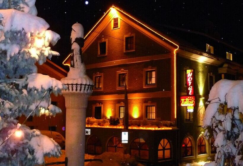 Aktiv Hotel Zur Rose