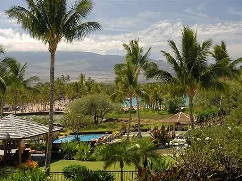 Kolea At Waikoloa
