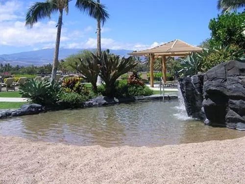 Kolea At Waikoloa