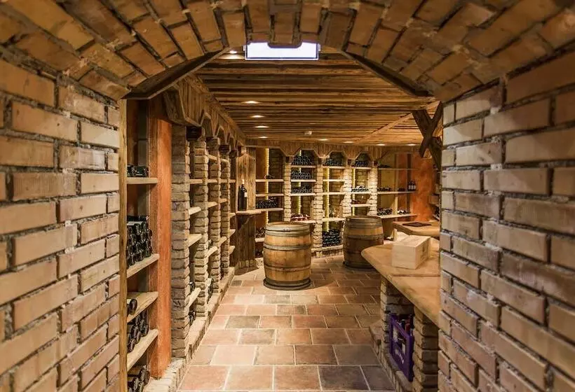 هتل Edelweiss Hochsölden Superior