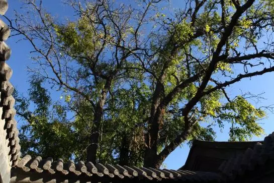 ホテル Old Beijing Square