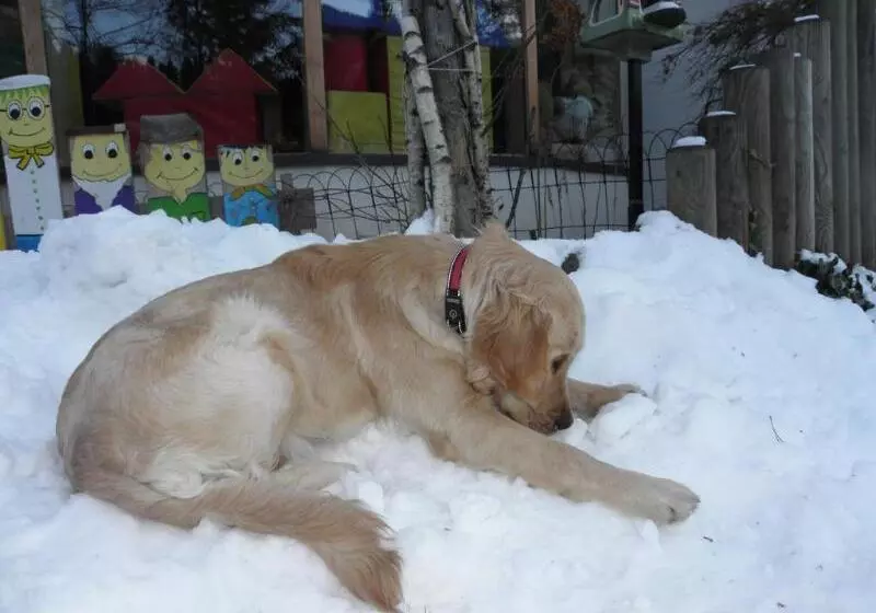 Naturhotel Ortners Eschenhof