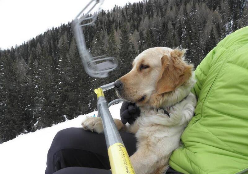 Naturhotel Ortners Eschenhof