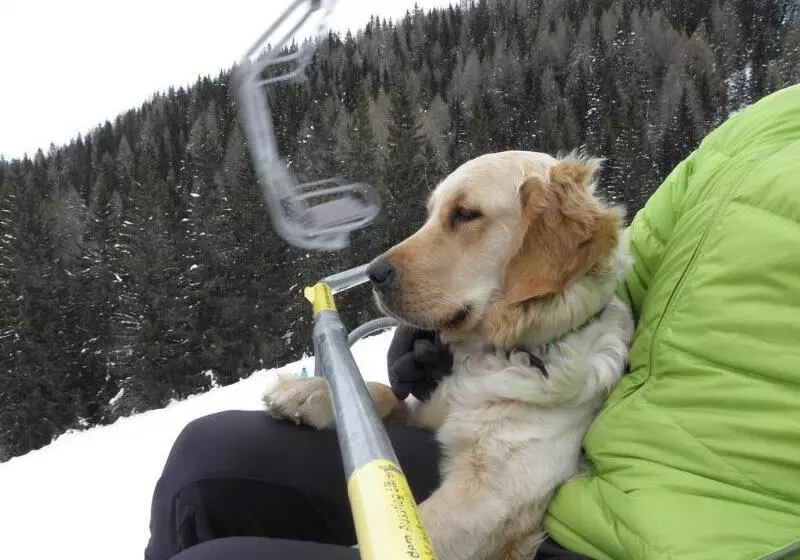 Naturhotel Ortners Eschenhof