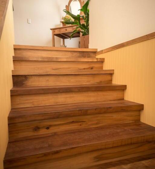 فندق Weisserhaus