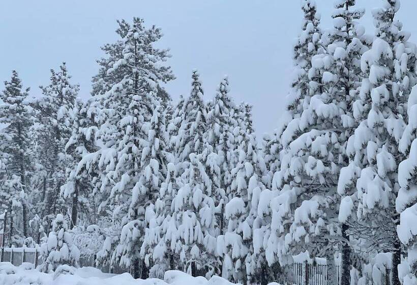 فندق على الطريق Pinewood Inn