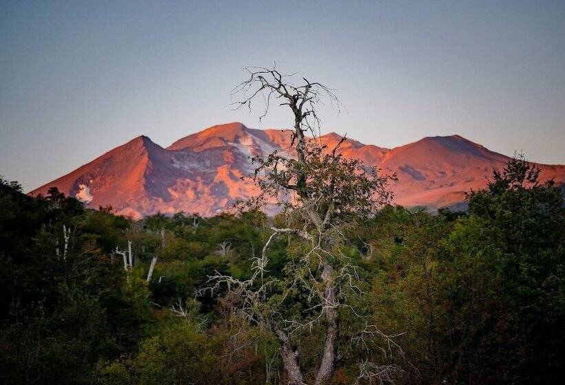 منتجع Roca Negra
