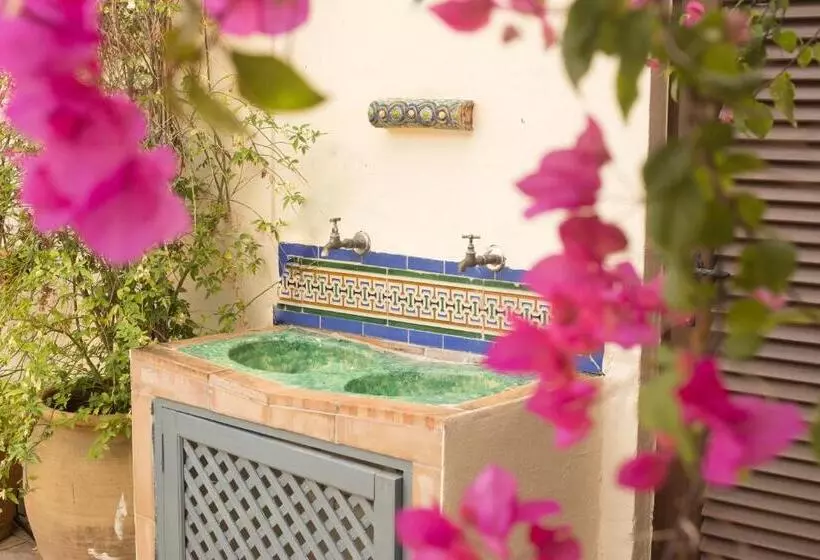 簡易ホテル Nüa Santa Cruz