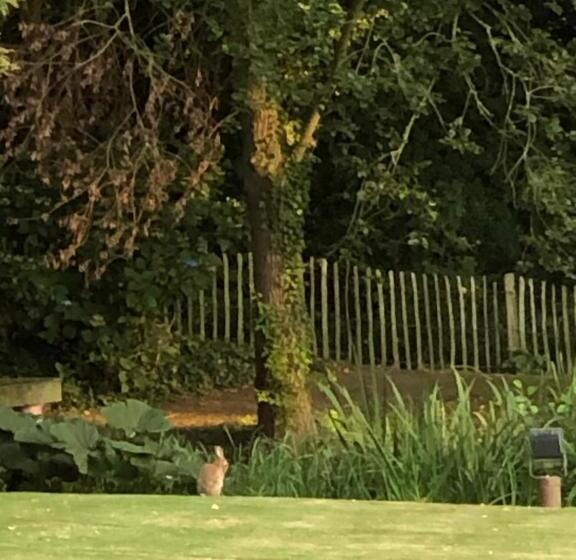 B&b Landhuis Hauwaart 80