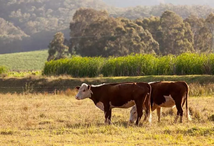 ホテル Pokolbin Farm Stay