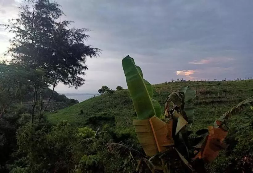 ペンション Feby S Homestay