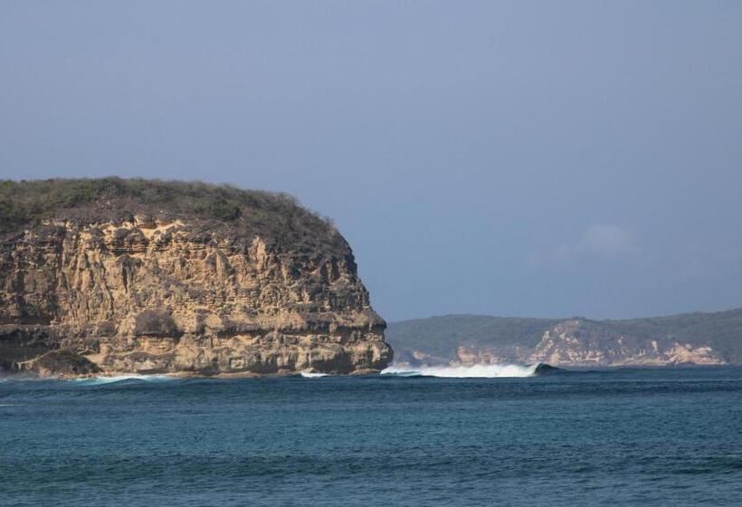 膳宿费 Feby S Homestay