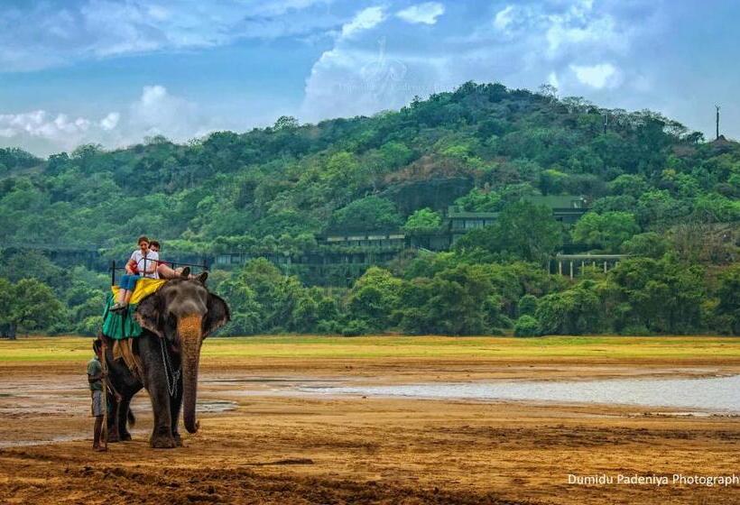 ペンション Simoya Nature Park