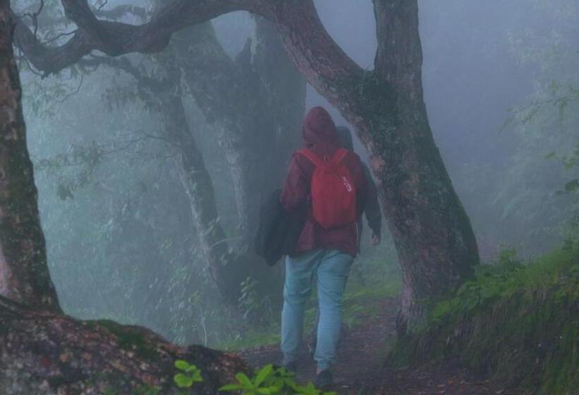 Пансион Tatva Veda Homestay & Hostel