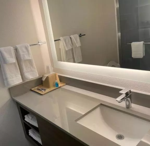 Hotelli Palace Inn Blue Garth Rd