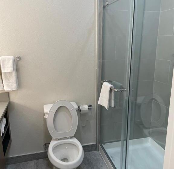 فندق Palace Inn Blue Garth Rd