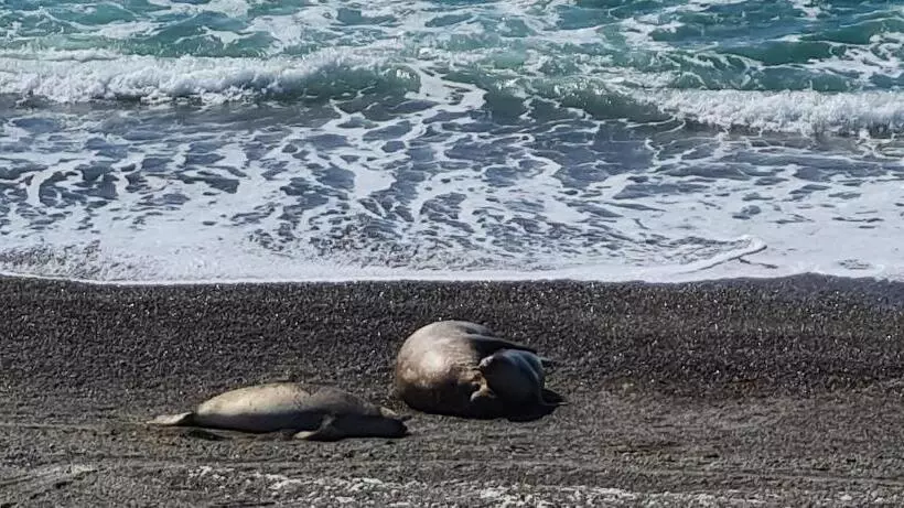 Retkeilymaja La Elvira Natural Lodge