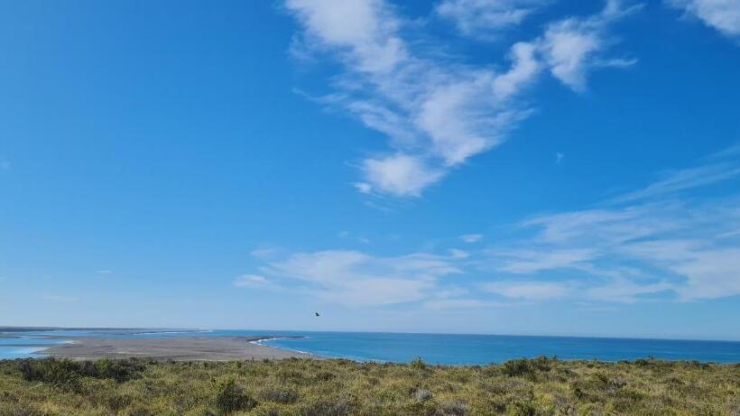 Hostel La Elvira Natural Lodge