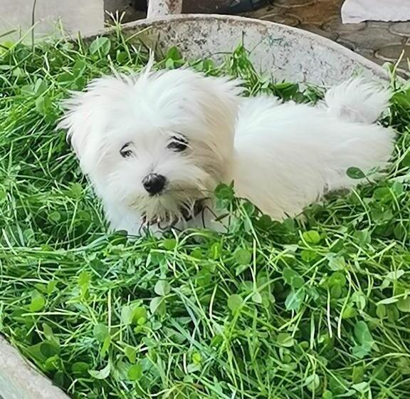 Bed and Breakfast Dridif 135