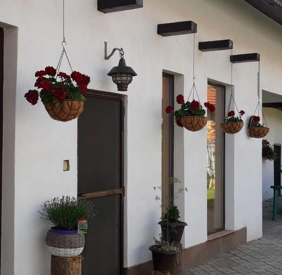 Bed and Breakfast Dridif 135