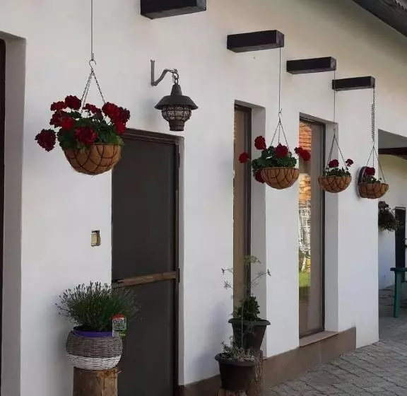 Aamiaismajoitus (B&B) Dridif 135